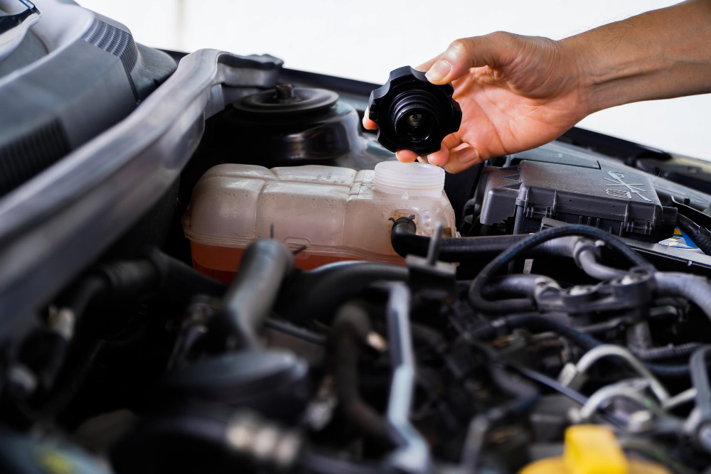 Revizii auto periodice